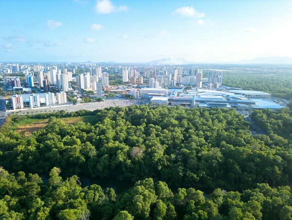 Découverte des Méthodes Innovantes en Art Abstrait